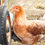 Thumbnail: Whiting True Green