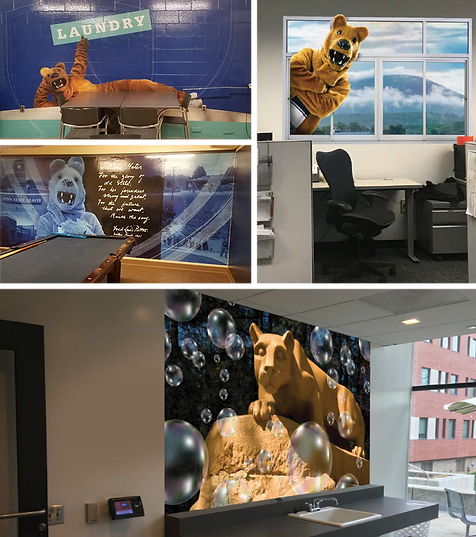 WallMurals2.png