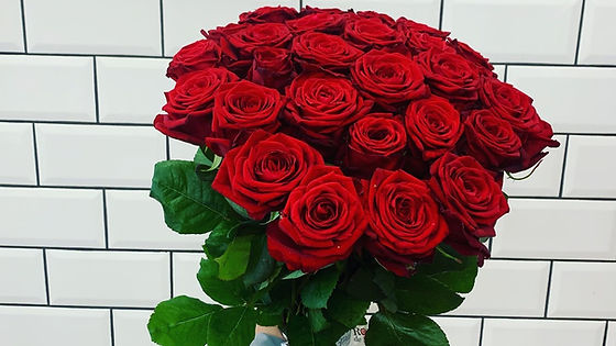 ★ 25 Rote Rosen