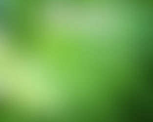 The Holistic Healing Approach