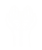 Untitled_Artwork 34.png