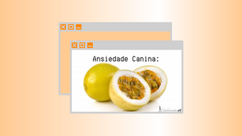 Ansiedade Canina: Maracujá.