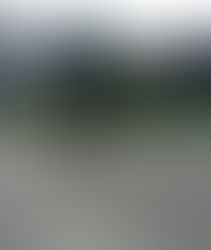 GATO QUE LEVOU PRA CASA UM TURISTA PERDIDO NOS ALPES SUÍÇOS.