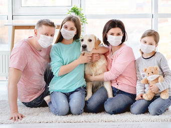 Cães farejadores serão treinados para detectar coronavírus.