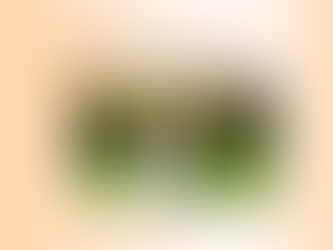 Meu cachorro late demais: Cão que late morde sim!