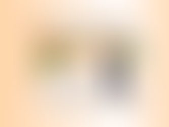 Meu cachorro late demais: Treino.