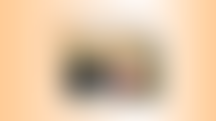 Ansiedade Canina: Destruição. 