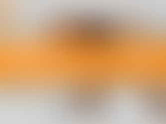 Motivos para o seu cão segurar o xixi: