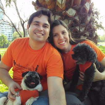 Mudança de país com meus cachorros!