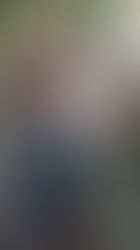 Trabalhar com o que você ama é possível!