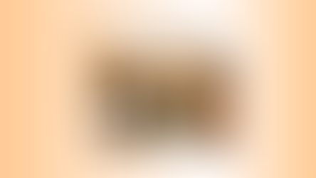 Ansiedade Canina: Alimentação.