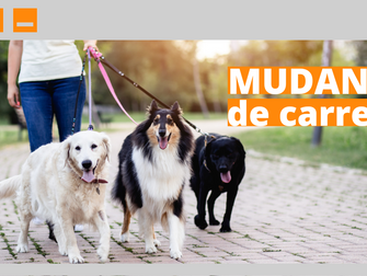 Mudança de carreira