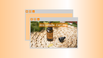 Ansiedade Canina: Florais