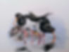 IMG_20250113_145626_Original_edited.jpg