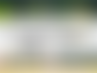 ドッグランのトラブル対処法まとめ｜事前準備とマナーがカギ