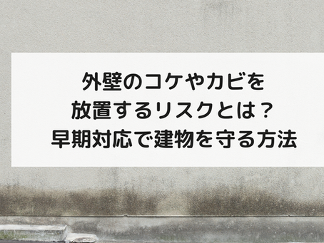 外壁のコケやカビを放置するリスクとは？早期対応で建物を守る方法