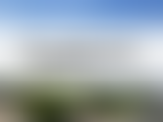 関東で浮気調査を依頼する探偵の選び方ガイド