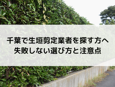 千葉で生垣剪定業者を探す方へ｜失敗しない選び方と注意点