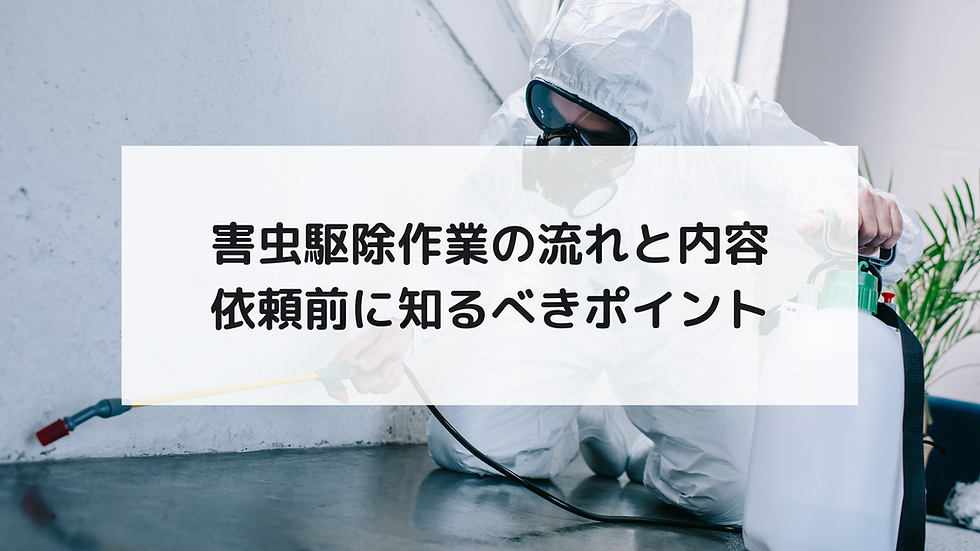 害虫駆除作業の流れと内容｜依頼前に知るべきポイント