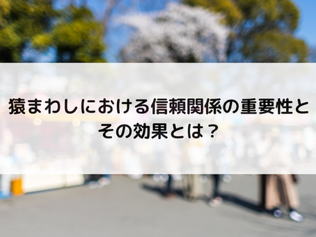 猿まわしにおける信頼関係の重要性とその効果とは?