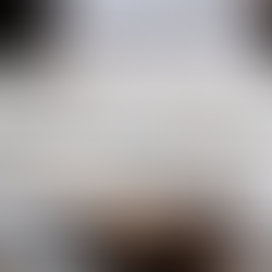 TikTok広告を出したことない人必見!初期設定から成功事例まで完全解説