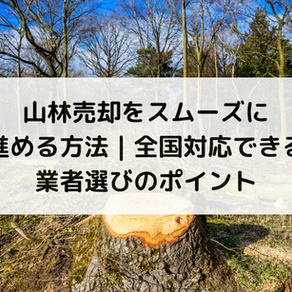 山林売却をスムーズに進める方法｜全国対応できる業者選びのポイント