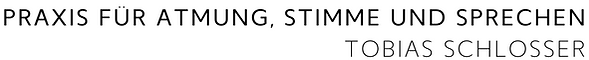 Der Schriftzug der Praxis: Stimmt! Praxis für Atmung, Stimme und Sprechen