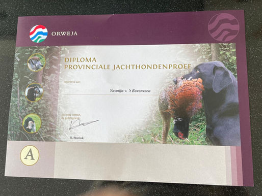 PJP A-diploma behaald