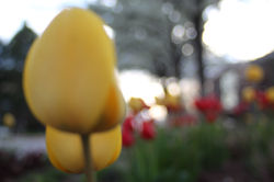 IMG_5094.JPG