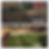 IMG_4639.PNG