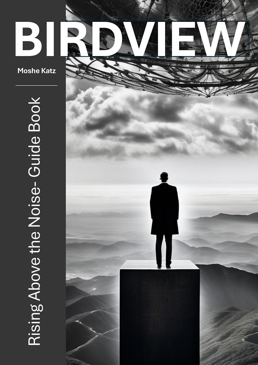 Wie Sie sich über mentales Rauschen erheben und Klarheit gewinnen(Die Birdview-Methode von Moshe Katz)Basierend auf den Prinzipien von Birdview