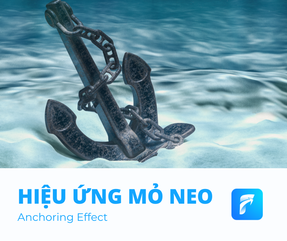 Hiệu ứng Mỏ Neo (Anchoring Effect) và câu chuyện không dám cắt lỗ