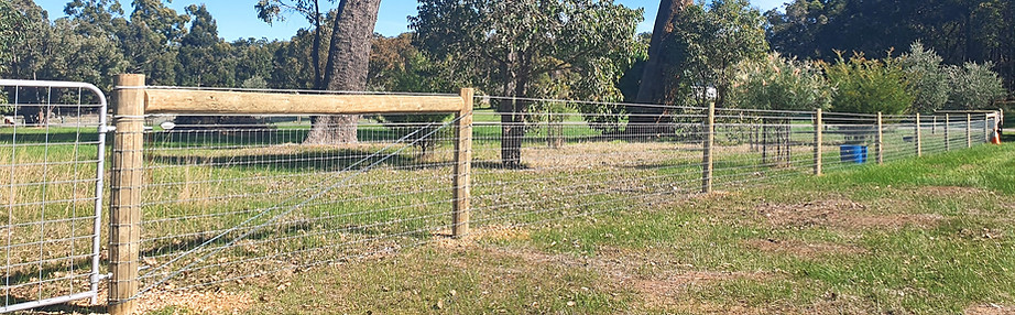 Equine fence
