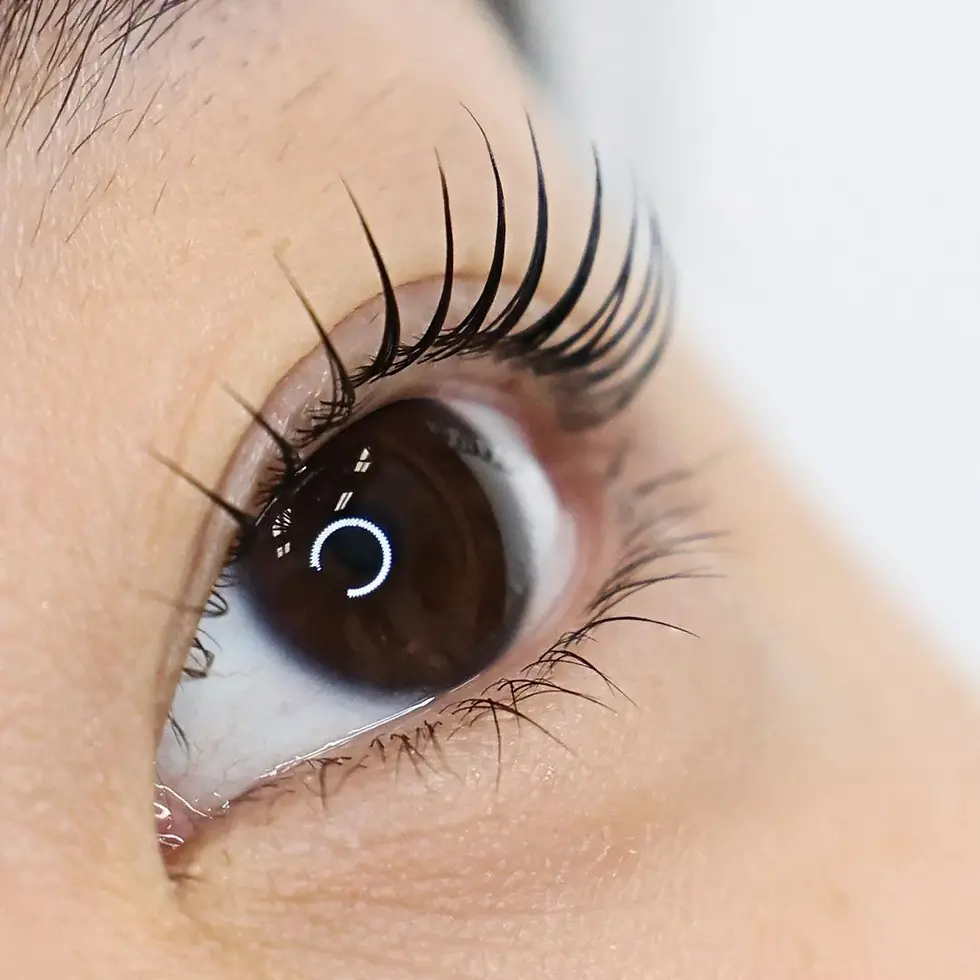 Korean Lash Lift vs Traditional Lash Lift and Why You Should Choose the Korean Method
