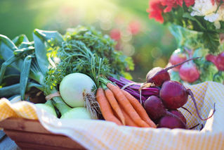 Hudson Food Collective