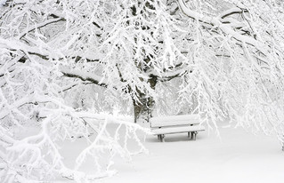 Let it snow