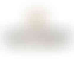 LOCH LOMOND 羅夢湖 蘇格蘭單一麥芽威士忌 拎久狼 詹姆士.萊菲 JAMES LYFIANA 品牌大使