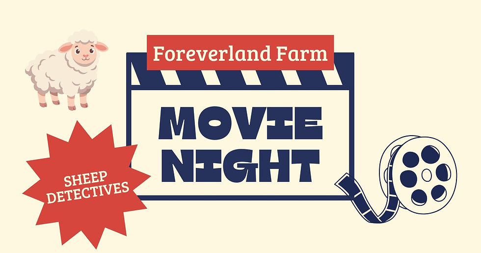 Movie Night
