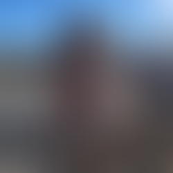 a brown horse with a white nose and forehead