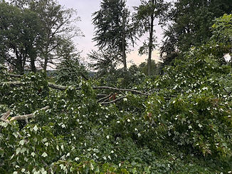 Storm damage 4.jpg