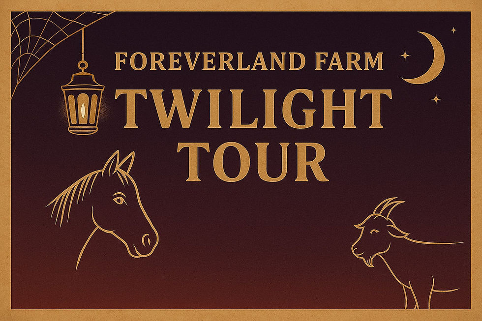 Twilight Tour 2025