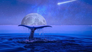 ★来週はどんな一週間？★星読み情報をお届け 3/14(日)~3/20(土)