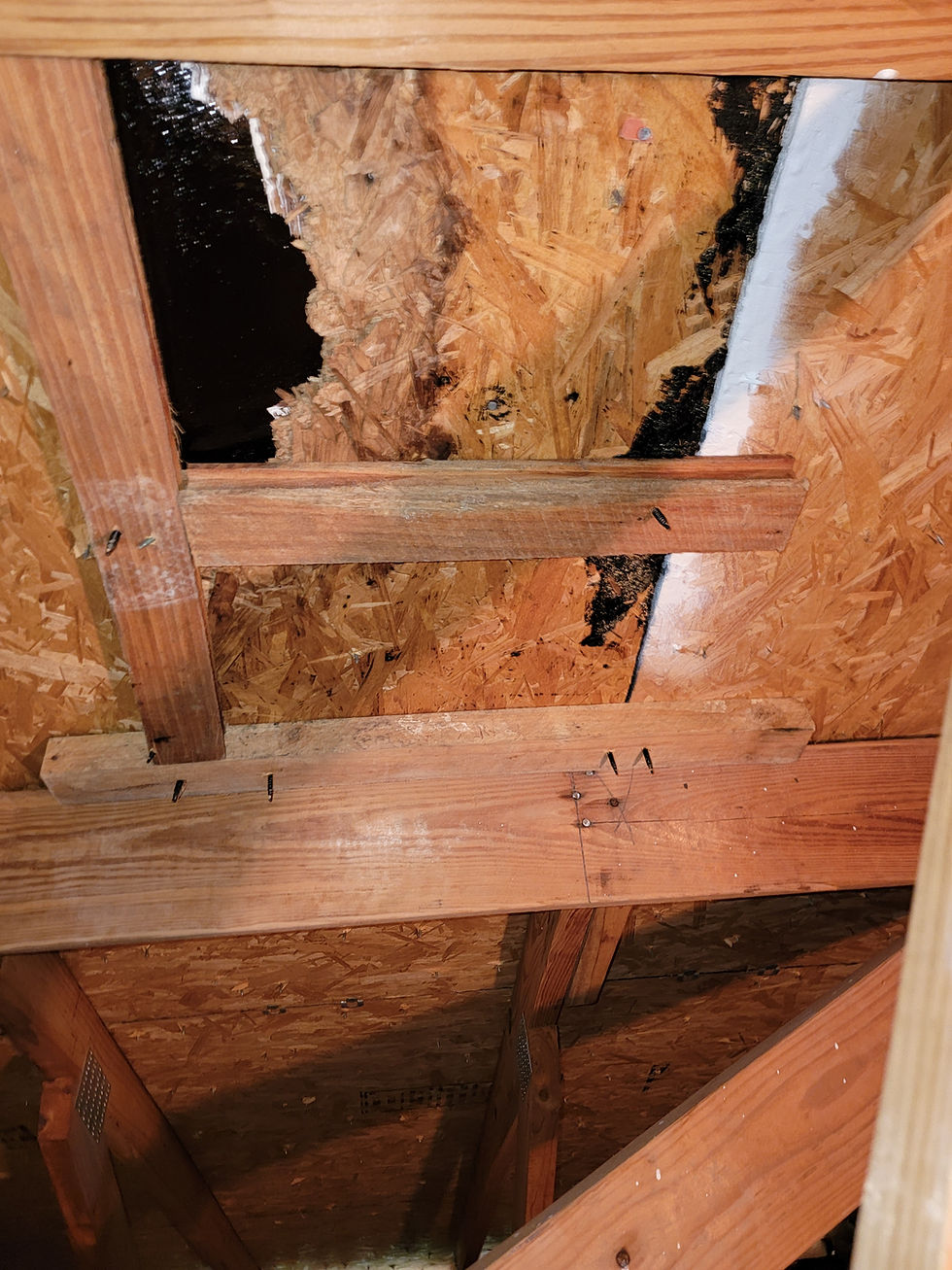 Attic Inspection