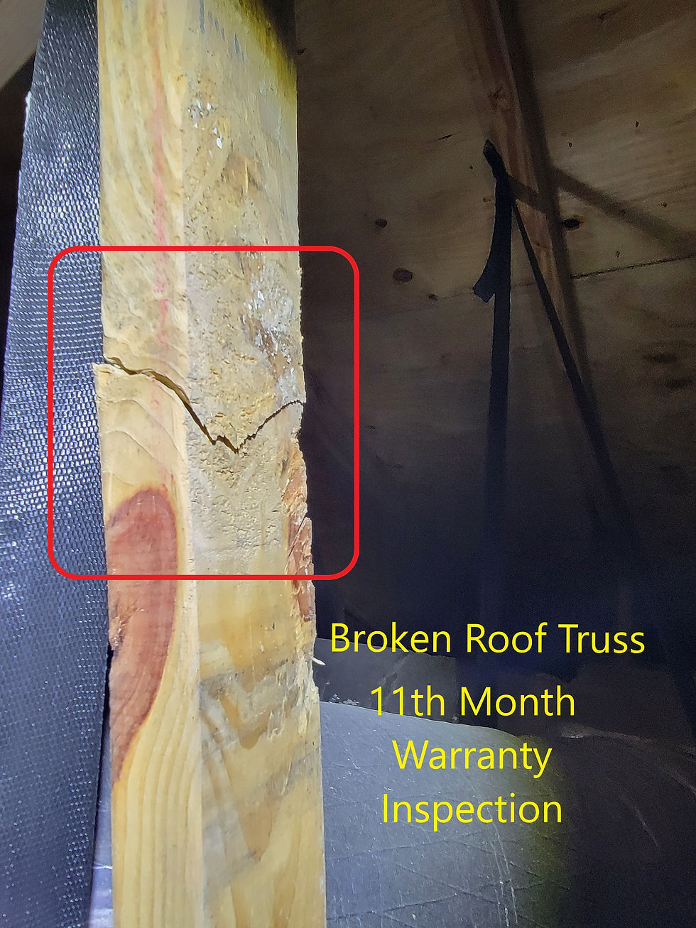 Warranty Roof Truss