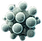 Mold spore