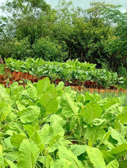 bd3f5e97-9ad2-4765-86e2-56a387baaf63