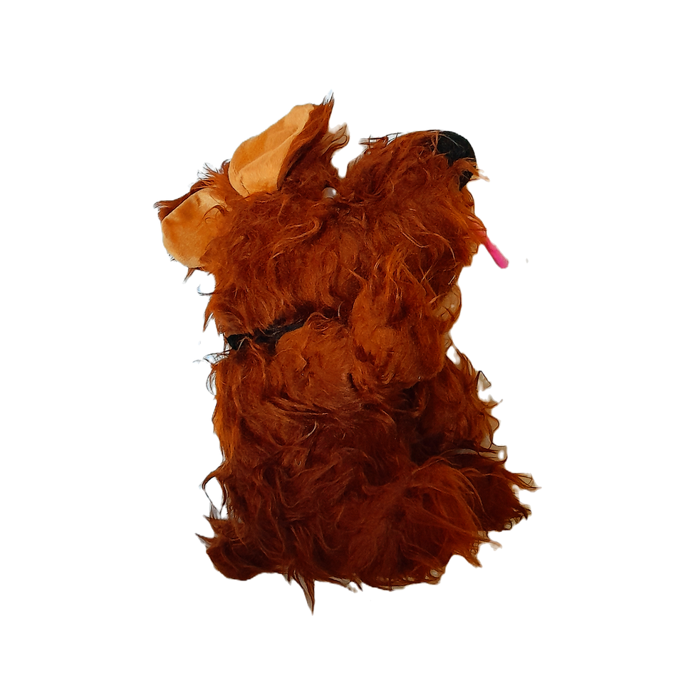 Miniatura: Vista lateral