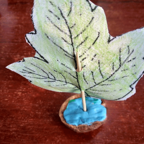 20201027_140716-ANIMATION.gif