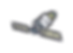 Satellite 1.png