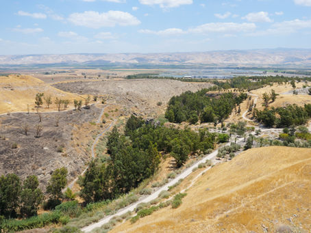 Remove a Violent Settler from the West Bank and Ensure Palestinian Farmers are Protected